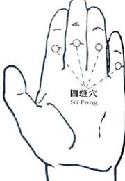 massage Tuina toulouse point d‘acupuncture