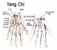 point yangchi