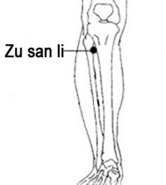 massage toulouse